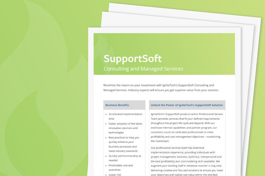 SupportSoft Consulting Services
