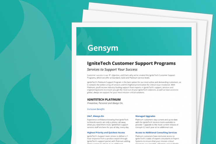 GenSym Support Services