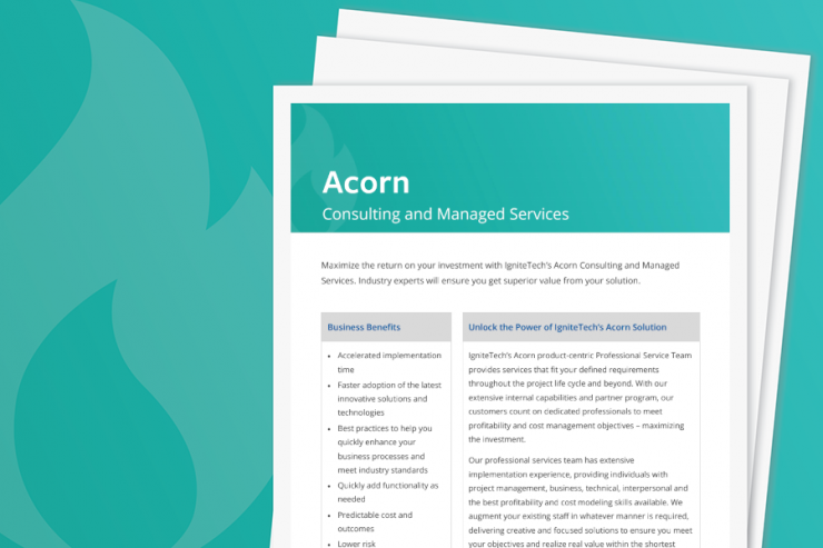 Acorn Consulting Services